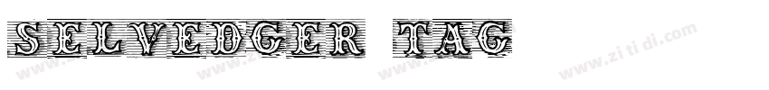 Selvedger Tag字体转换